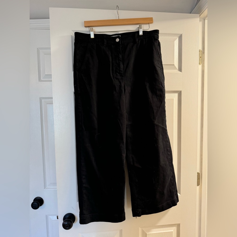 Everlane Black Utility Pants